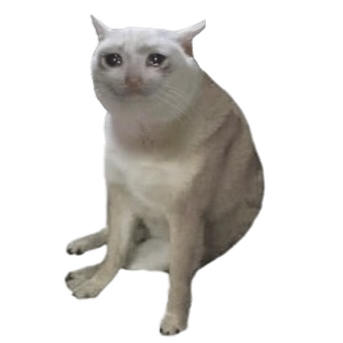 CASHCAT artwork